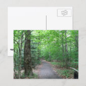 Lonous Lake Trail Briefkaart (Voorkant / Achterkant)