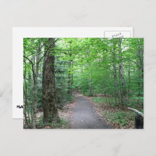 Lonous Lake Trail Briefkaart (Voorkant / Achterkant)