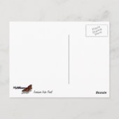 Lonous Lake Trail Briefkaart (Achterkant)