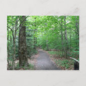 Lonous Lake Trail Briefkaart (Voorkant)