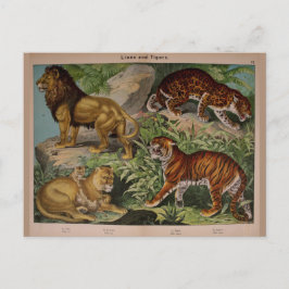 Lons en tijgers Art Ephemera Briefkaart
