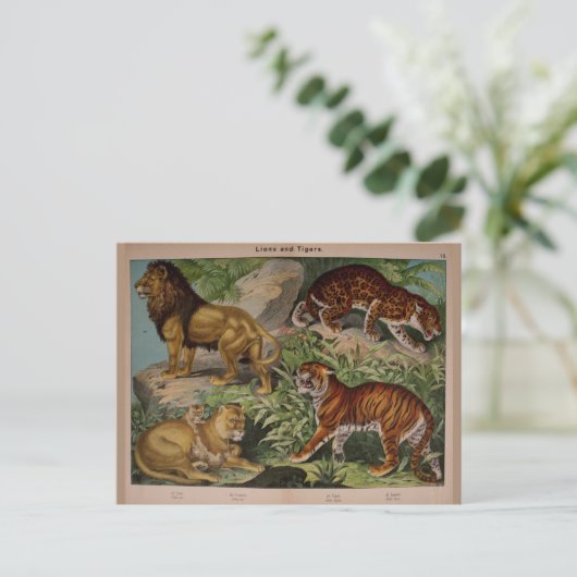 Lons en tijgers Art Ephemera Briefkaart (Staand voorkant)