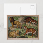 Lons en tijgers Art Ephemera Briefkaart (Voorkant / Achterkant)