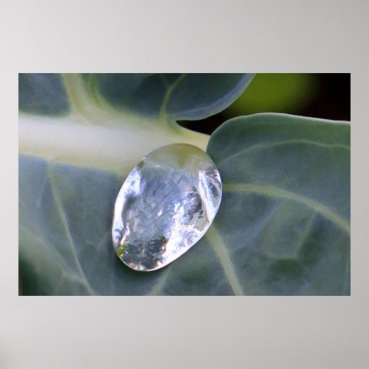 Lood en waterval poster (Voorkant)