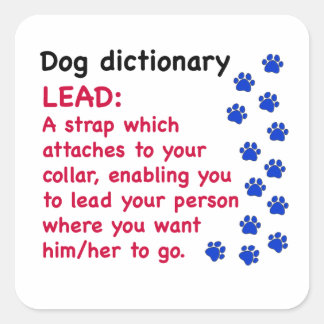 Lood - hond woordenboek vierkante sticker