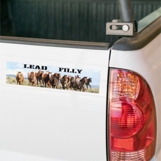 Loodbumpersticker Bumpersticker (Op Truck)