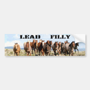 Loodbumpersticker Bumpersticker