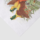 Looddigesia Mirabilis-ontkoppeling Tissuepapier (Detail)