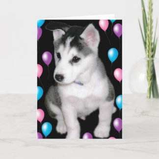 Loodje en Ballons Kaart