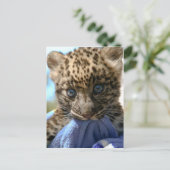 Loodkuil Briefkaart (Staand voorkant)