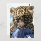 Loodkuil Briefkaart (Voorkant / Achterkant)