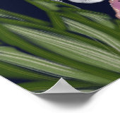 Loodluipaard in de Vloertuin Poster (Hoek)