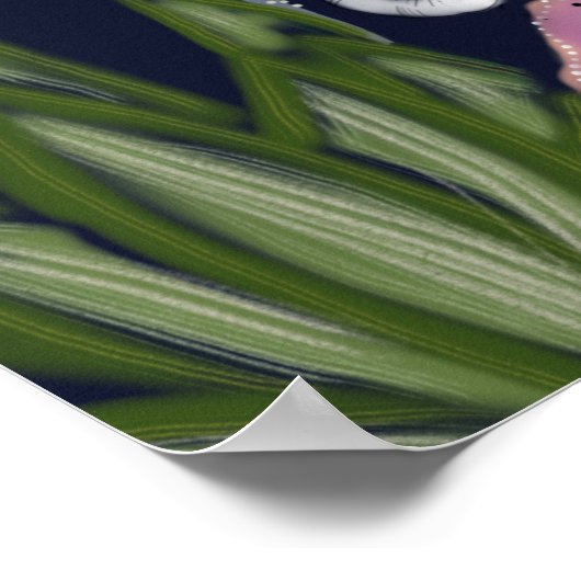 Loodluipaard in de Vloertuin Poster (Hoek)