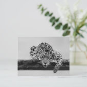 Loodluipaard in zwart-wit briefkaart (Staand voorkant)