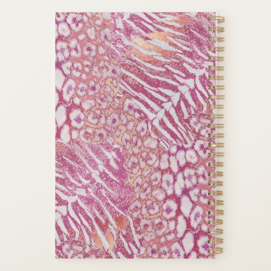 Loodtijgerslang Planner (Achterkant)