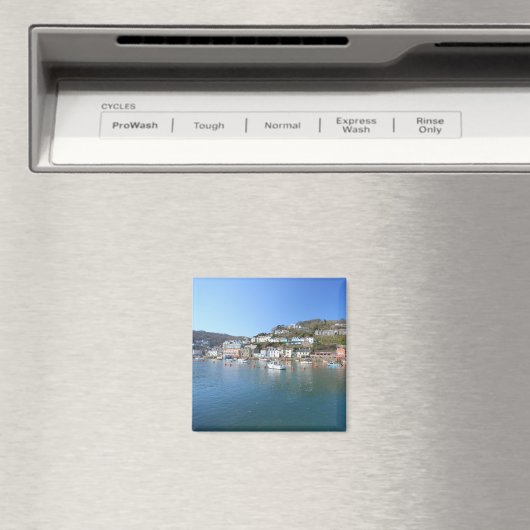 Looe in Cornwall Magneet (Insitu (Vaatwasser))