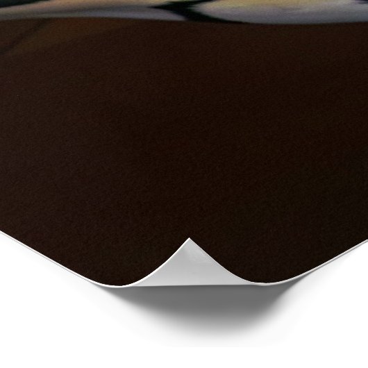 LOOFF CAROUSEL TIGER 1909 POSTER (Hoek)