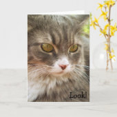 Look! Birthday Card with Cat Kaart (Gele Bloem)