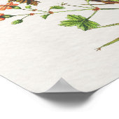  Look Botanische Cranesbill Floral Poster (Hoek)