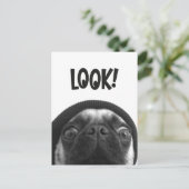LOOK it's Lola the Pug Briefkaart (Staand voorkant)