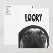 LOOK it's Lola the Pug Briefkaart (Voorkant / Achterkant)