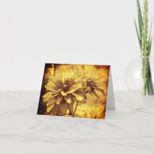  look Sepia Daisies Floral Note Kaart