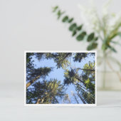 Look up  briefkaart (Staand voorkant)