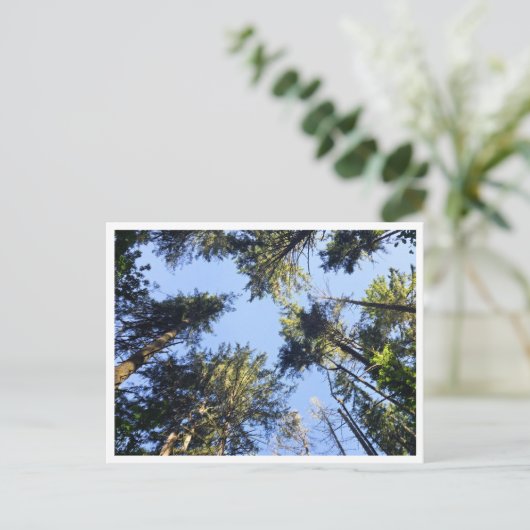 Look up briefkaart (Staand voorkant)