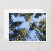 Look up  briefkaart (Voorkant / Achterkant)