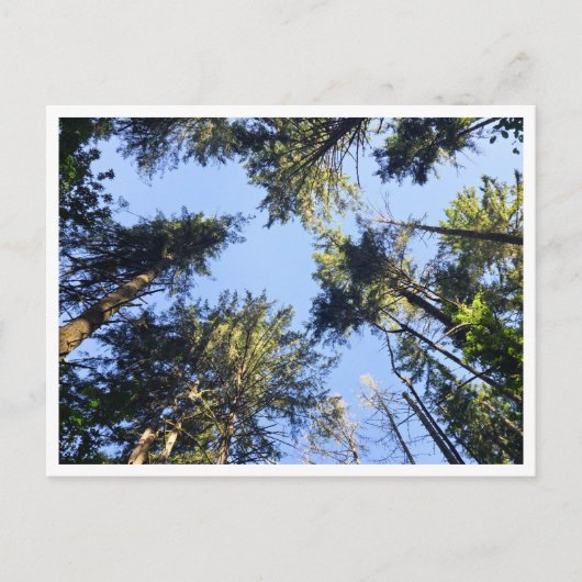 Look up  briefkaart (Voorkant)