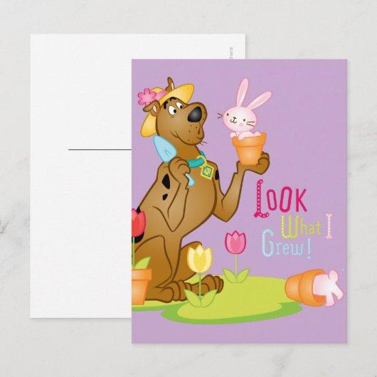 Look What I Grew Briefkaart (Voorkant / Achterkant)