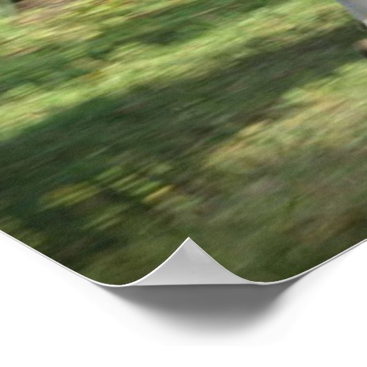 Lookie Lou hebben Fun Poster (Hoek)