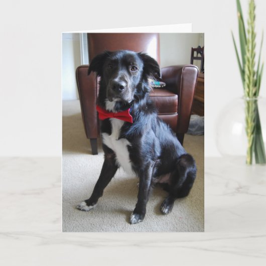 Lookin' Fab Kaart (Voorkant)