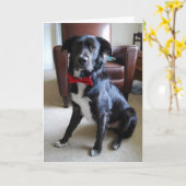 Lookin' Fab Kaart (Gele Bloem)