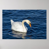 Looking About Poster (Voorkant)