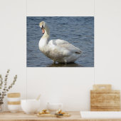 Looking Around Poster (Keuken)