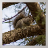 Looking Down Poster (Voorkant)