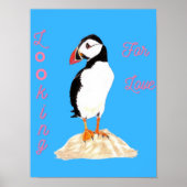 Looking for some love Puffin  Poster (Voorkant)