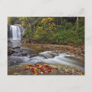 Looking Glass Falls in de Pisgah National Briefkaart