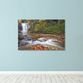 Looking Glass Falls in de Pisgah National Canvas Afdruk (Insitu (Houten vloer))