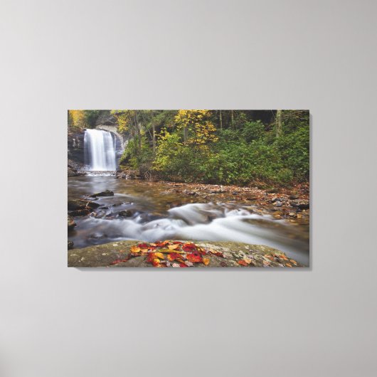 Looking Glass Falls in de Pisgah National Canvas Afdruk (Voorkant)