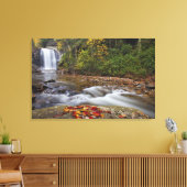 Looking Glass Falls in de Pisgah National Canvas Afdruk (Insitu (Woonkamer))