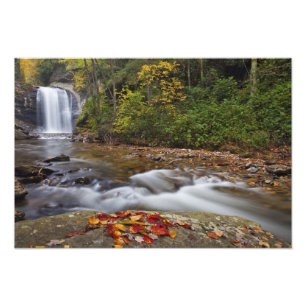 Looking Glass Falls in de Pisgah National Foto Afdruk