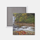 Looking Glass Falls in de Pisgah National Magneet (Voorkant / Achterkant)