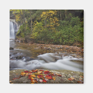 Looking Glass Falls in de Pisgah National Magneet