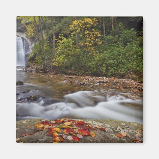 Looking Glass Falls in de Pisgah National Magneet (Voorkant)