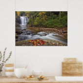 Looking Glass Falls in de Pisgah National Poster (Keuken)