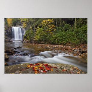 Looking Glass Falls in de Pisgah National Poster