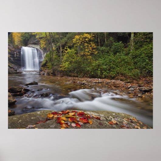 Looking Glass Falls in de Pisgah National Poster (Voorkant)