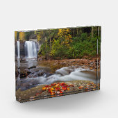 Looking Glass Falls Pisgah National Forest Fotoblokken (Links)
